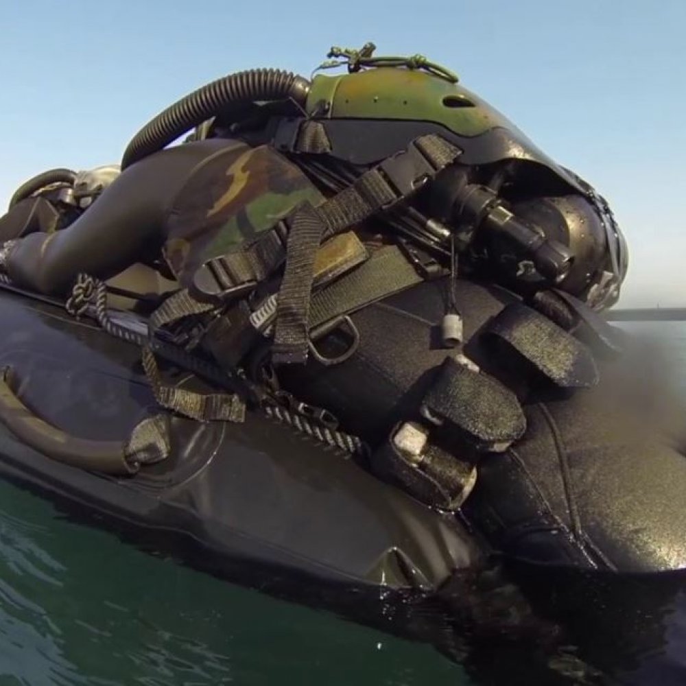 Hombre robó un zodiac y mordió a un carabinero en Valdivia