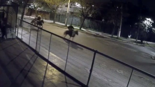 Detienen a hombre que participó en robo a caballo en servicentro de Lo Barnechea