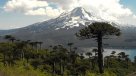Naciones Unidas alerta sobre posible \