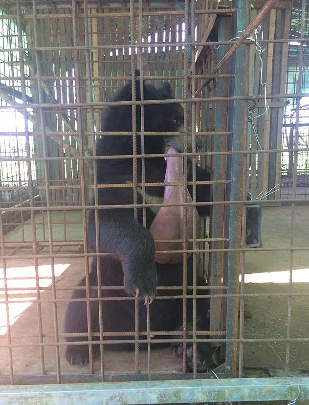 Imagen foto_00000002