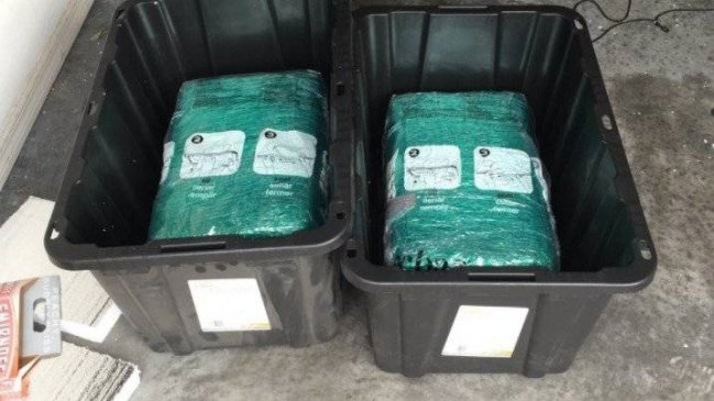 Pareja compró en Amazon y recibió 29 kilos de marihuana de regalo