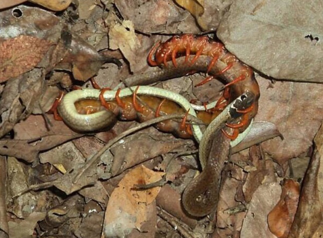 Imagen foto_00000016