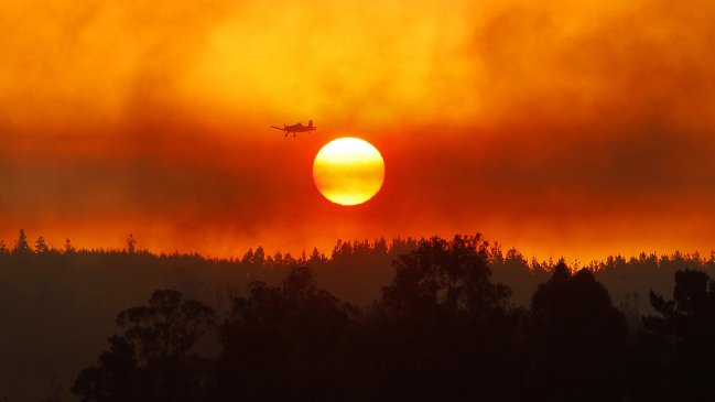 Bomberos advierte riesgo de nuevos incendios forestales en zona afectada el verano pasado