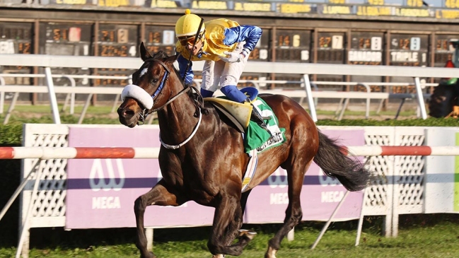 Robert Bruce ratificó el favoritismo y se adjudicó El Ensayo 2017 en el Club Hípico