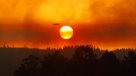 Bomberos advierte riesgo de nuevos incendios forestales en zona afectada el verano pasado