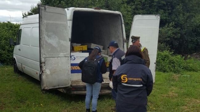 Sernapesca incautó más de ocho toneladas de merluza en operativos en Santiago y Maule