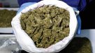Detuvieron a cuatro chilenas en Perú con 48 kilos de marihuana