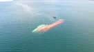 Alcalde de Chonchi presentó recurso de protección por barco salmonero hundido