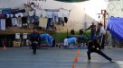 Corte Suprema ordenó otorgar facilidades para votar a presos de cinco ciudades