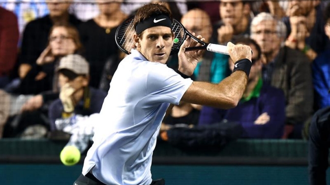 Del Potro se acerca al Masters tras victoria en segunda ronda de París-Bercy