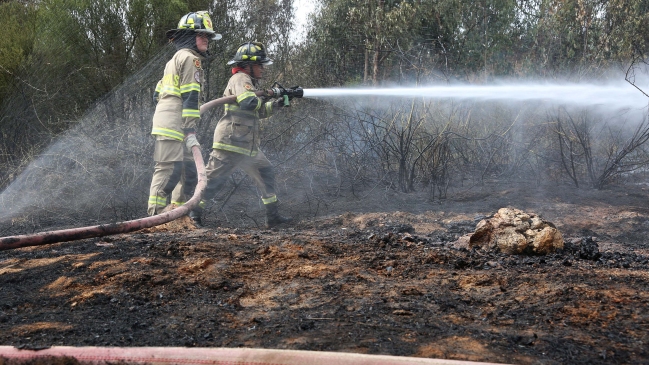 Cuatro regiones en alerta por riesgo de incendios forestales