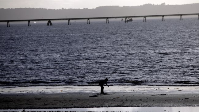 Estudiarán especies marinas en Cartagena para impulsar las energías limpias