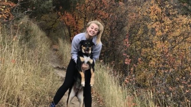 Perro simuló estar enfermo para que lo regalonearan