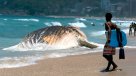 Así fue retirado cuerpo de ballena varada en Ipanema