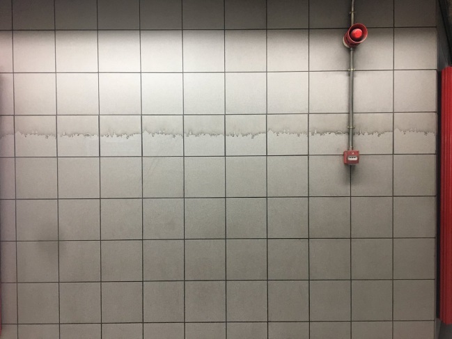 Imagen foto_00000018