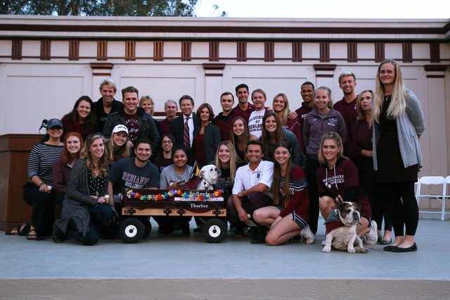 Imagen foto_00000018