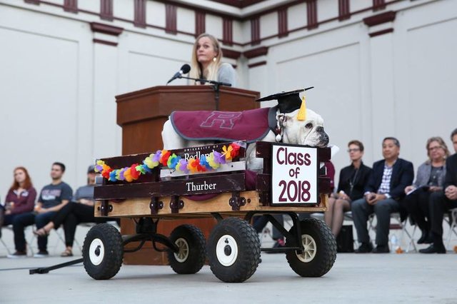 Imagen foto_00000019