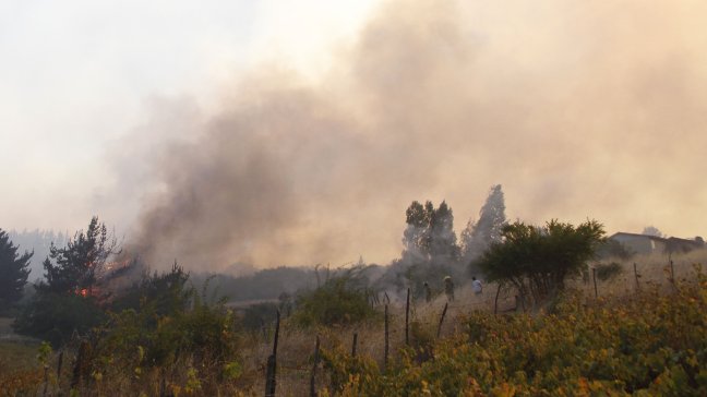 Incendios forestales azotan a la Región de Valparaíso por ola de calor