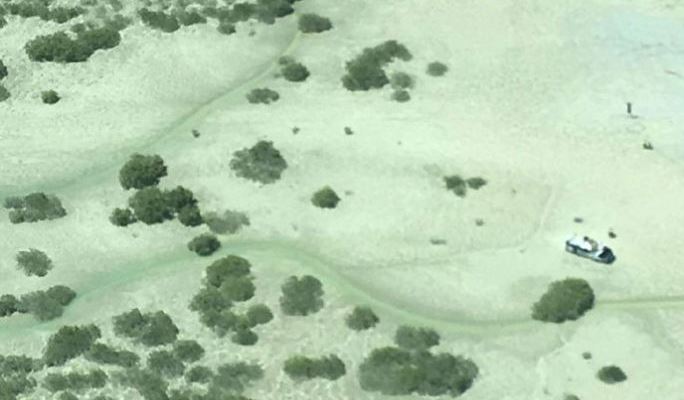 Dos hombres y un perro pasaron cuatro días sobre un auto tras ser rodeados por cocodrilos