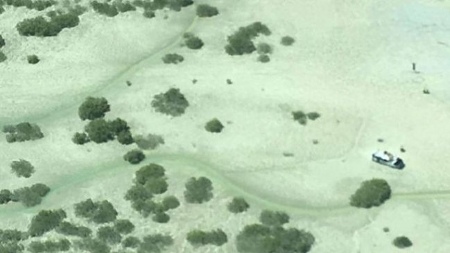 Dos hombres y un perro pasaron cuatro días sobre un auto tras ser rodeados por cocodrilos