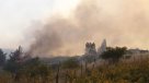 Incendios forestales azotan a la Región de Valparaíso por ola de calor