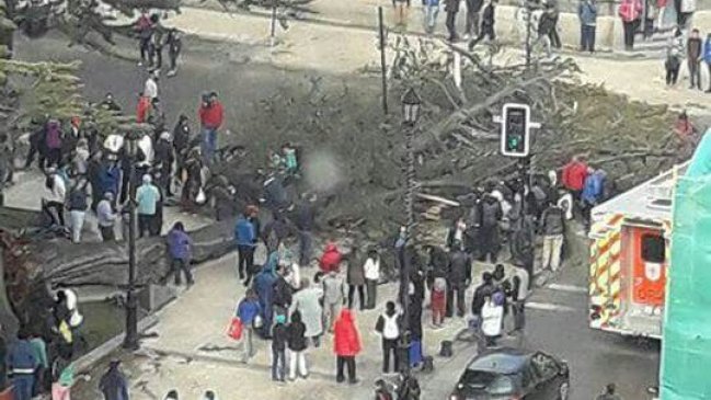 Fuertes vientos en Punta Arenas provocaron caída de árbol que dejó dos lesionados