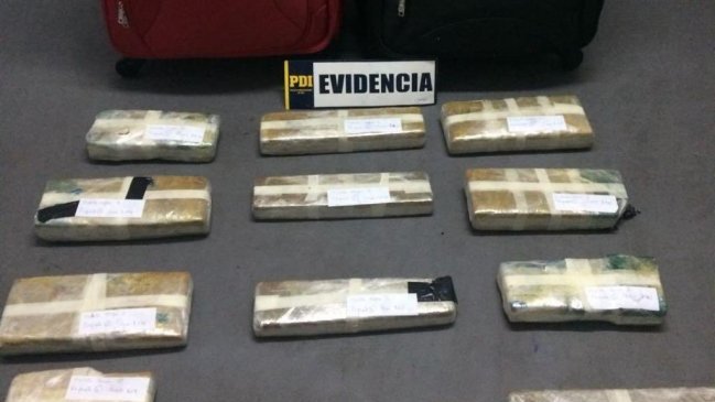 Perro de la PDI evitó ingreso de millonario cargamento de drogas a Chile