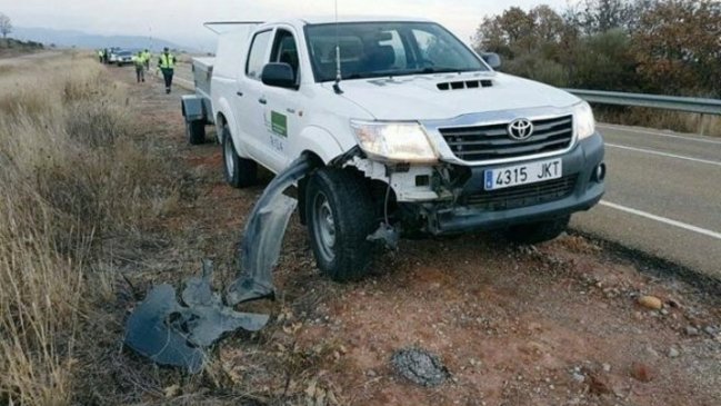 Hombre atropelló a un lobo y posó con el cadáver como un trofeo