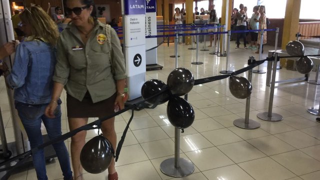 Isla de Pascua: Funcionarios de Latam paralizaron aeropuerto por despido de trabajador