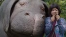 PETA eligió \
