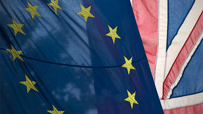 Gobierno británico admite que no ha evaluado el impacto del 