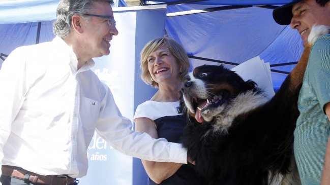 Alcaldesa Matthei por norma de tenencia responsable: 