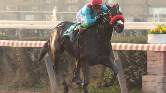 St. Leger 2017: Ven a ver 