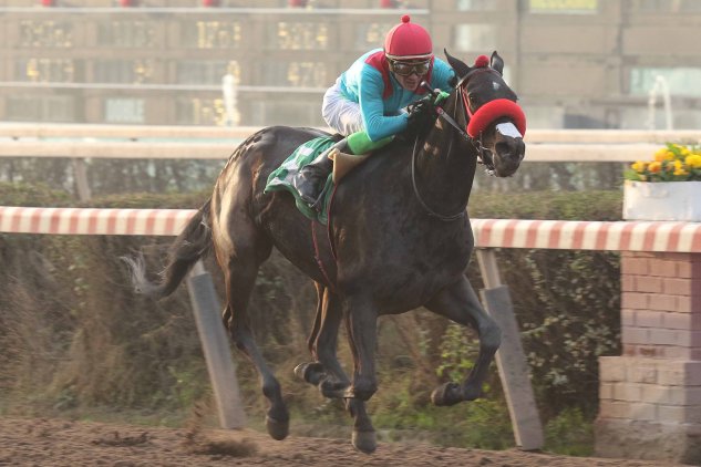 Imagen foto_00000018