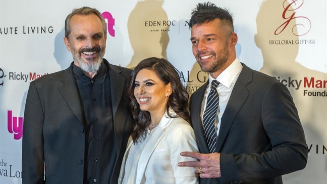 Bosé se confiesa feliz por el premio que le entregan a 