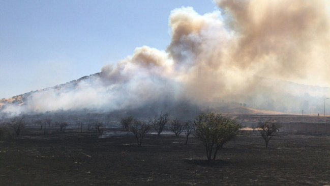 Onemi decretó alerta roja en Lampa por incendio forestal