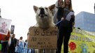 Valparaíso protestó contra el maltrato animal