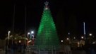 Municipio de Caldera inauguró árbol de navidad hecho de botellas recicladas