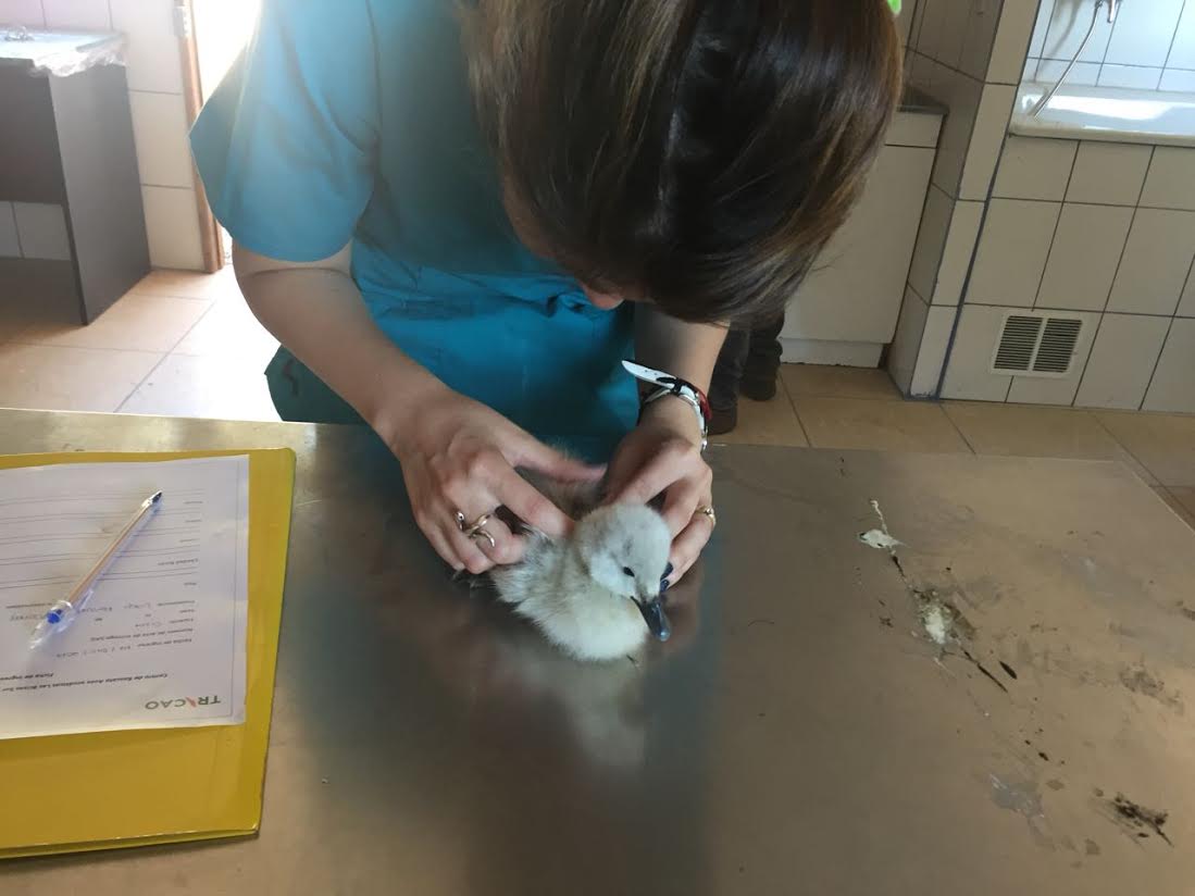 Imagen foto_00000002