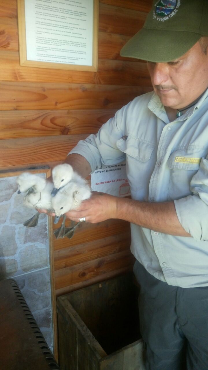 Imagen foto_00000003