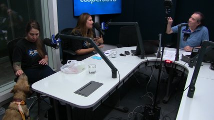   Tus Años Cuentan: El trabajo de la Fundación Huella Animal 