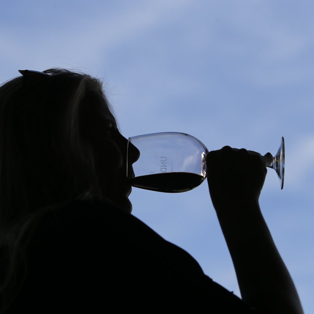 Diario estadounidense destacó vinos carmenere chilenos