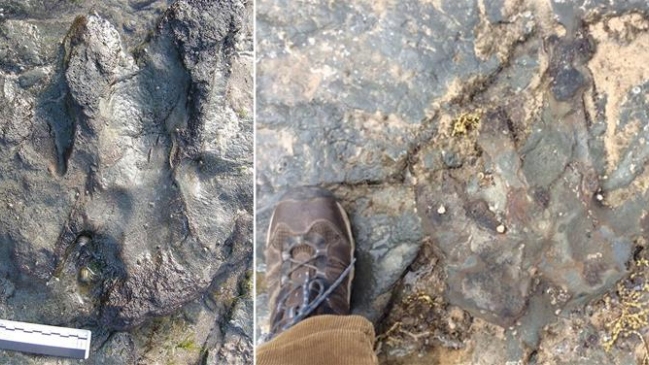 Destruyen con un martillo una huella de dinosaurio de 115 millones de años