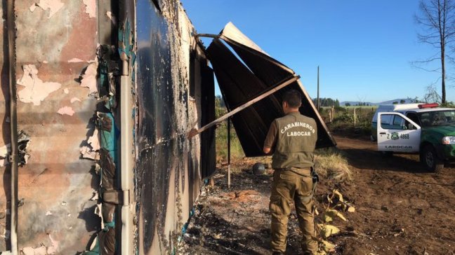 Imagen foto_00000016