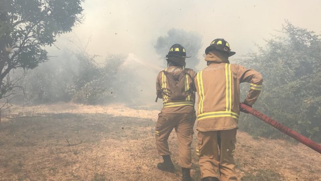 Intendencia y Onemi decretaron alerta roja por incendio en Melipilla