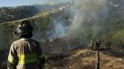 Tres focos de incendios forestales complican a zonas de la Región de Valparaíso