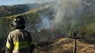 Tres focos de incendios forestales complican a zonas de la Región de Valparaíso