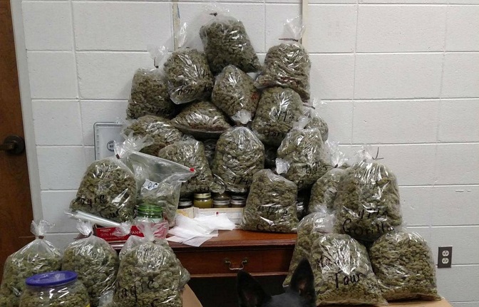 Abuelos fueron pillados con 27 kilos de marihuana y dijeron que era para navidad
