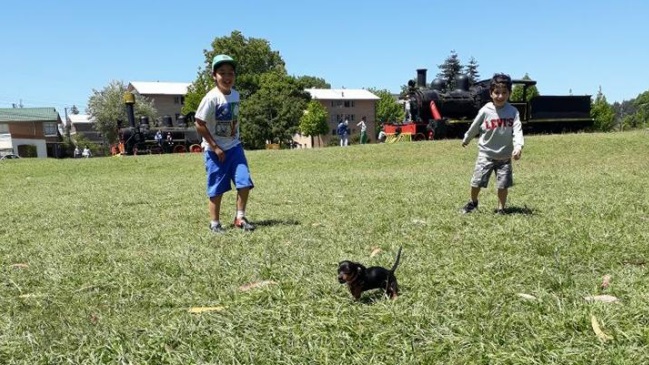 Denuncian robo de regalos y una perrita en Concepción
