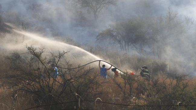 Incendio forestal afectó a cerro La Ballena de Puente Alto